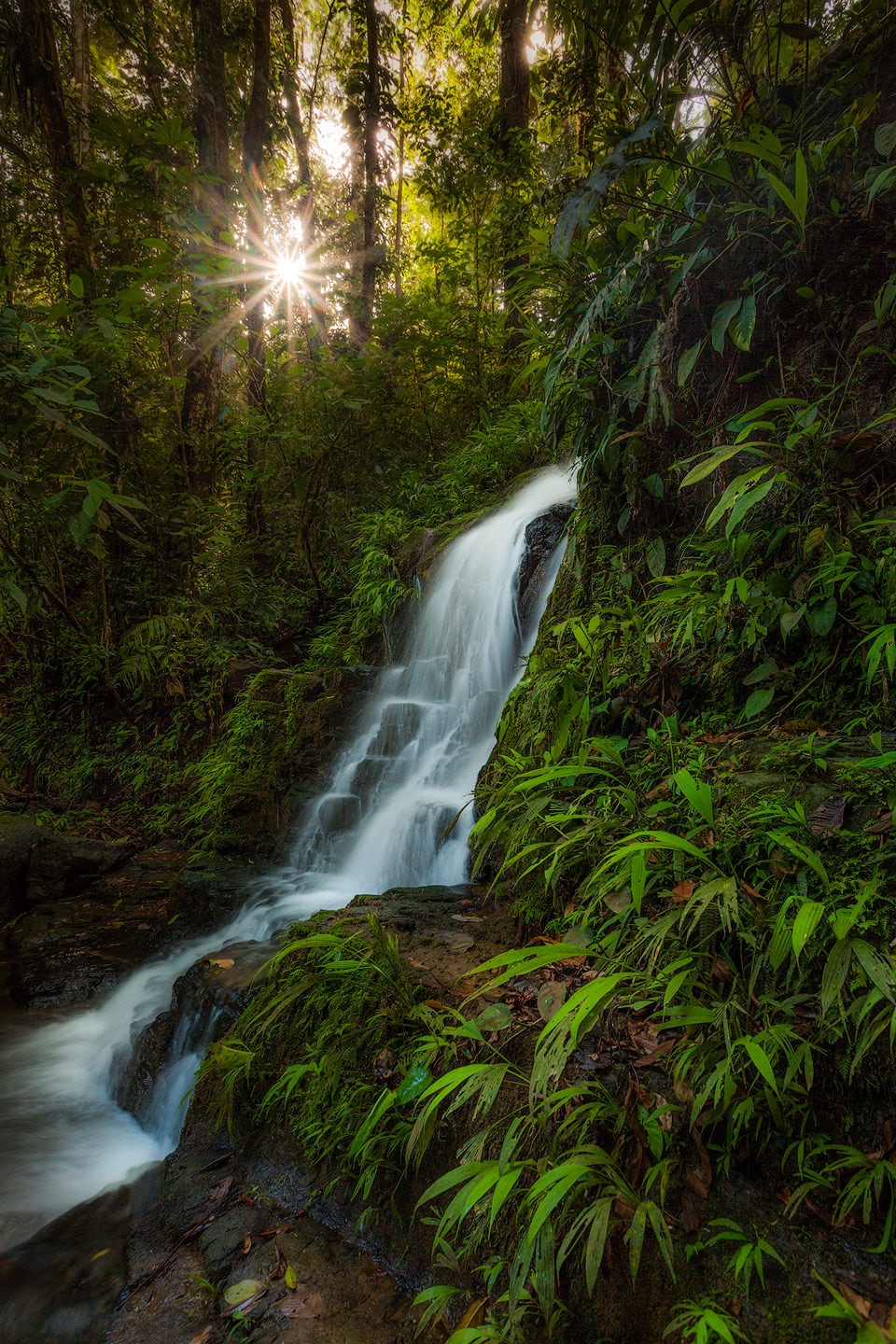 A small waterfall in the jungle.