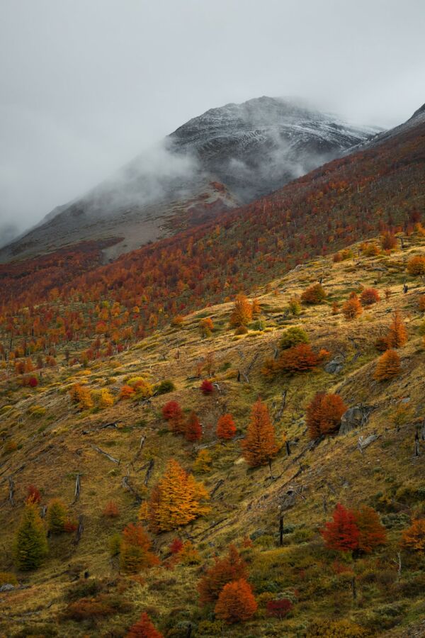 Circo de los Altares « A Journey to the far side of Cerro Torre